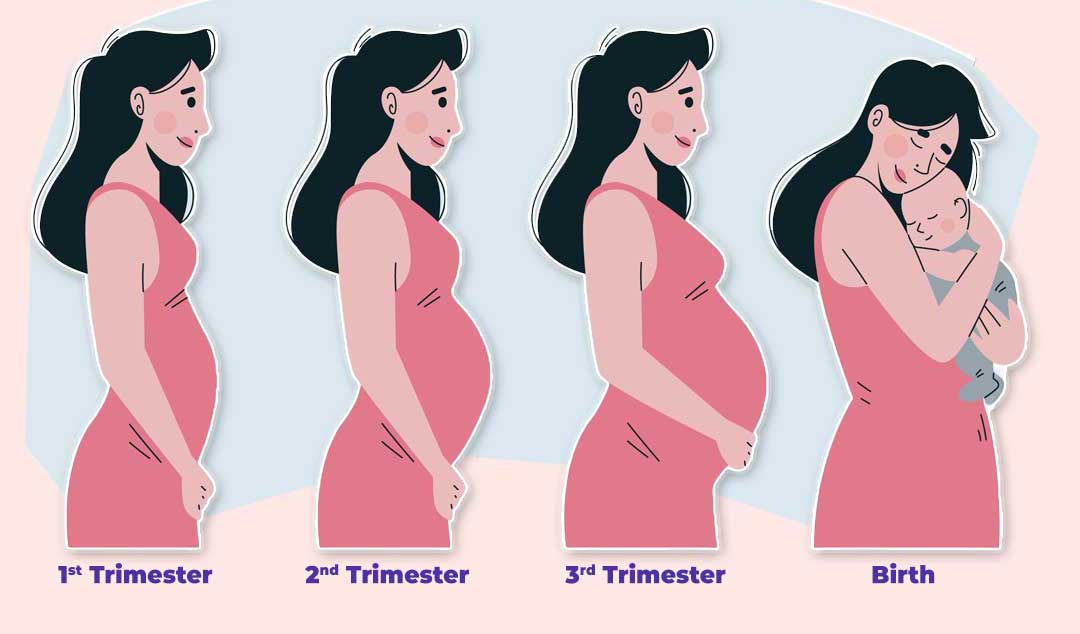 Pregnancy Image 2